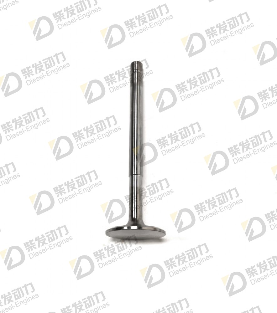 Inlet valve 466379 